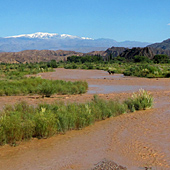 Calingasta Valley